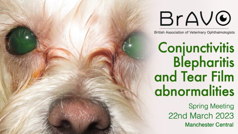 Spring BRAVO (British Association of Veterinary Ophthalmologist) | 22nd March 2023